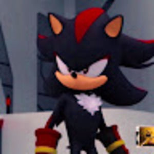 Meet your Posher, Joao